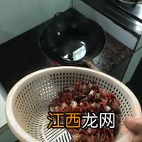 吃龙虾喝什么绝配？龙虾爱吃的10种食物，好文章，值得阅读