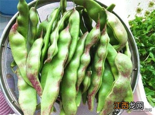 冻豆角为什么硬？冻豆角发白了还能吃吗，不了解，就看这