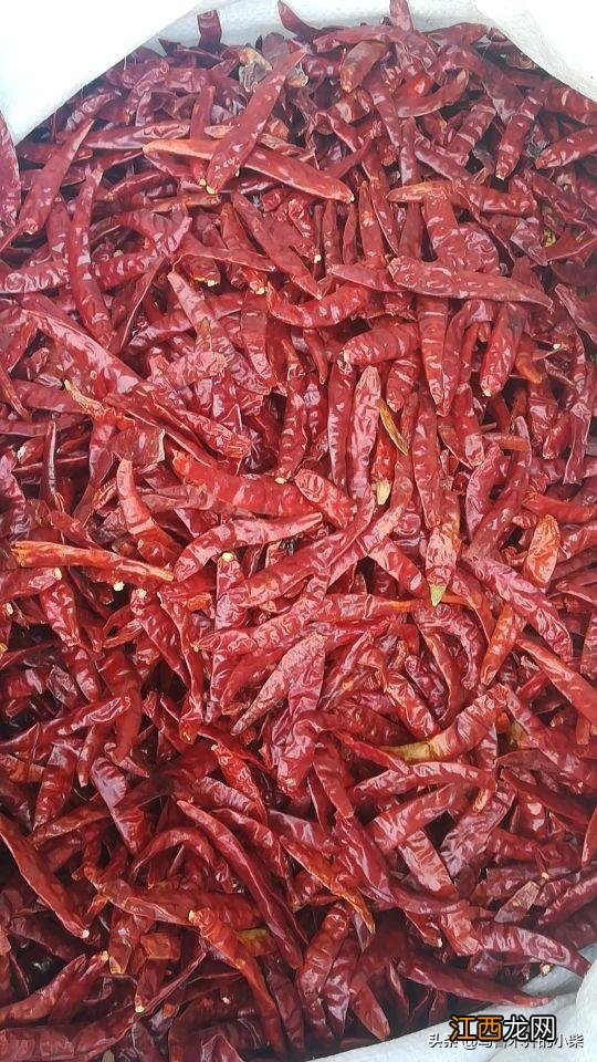 特别辣的红椒叫什么名字?黄色的干辣椒是什么品种,此文,值得收藏