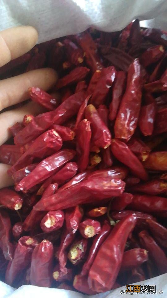 特别辣的红椒叫什么名字?黄色的干辣椒是什么品种,此文,值得收藏
