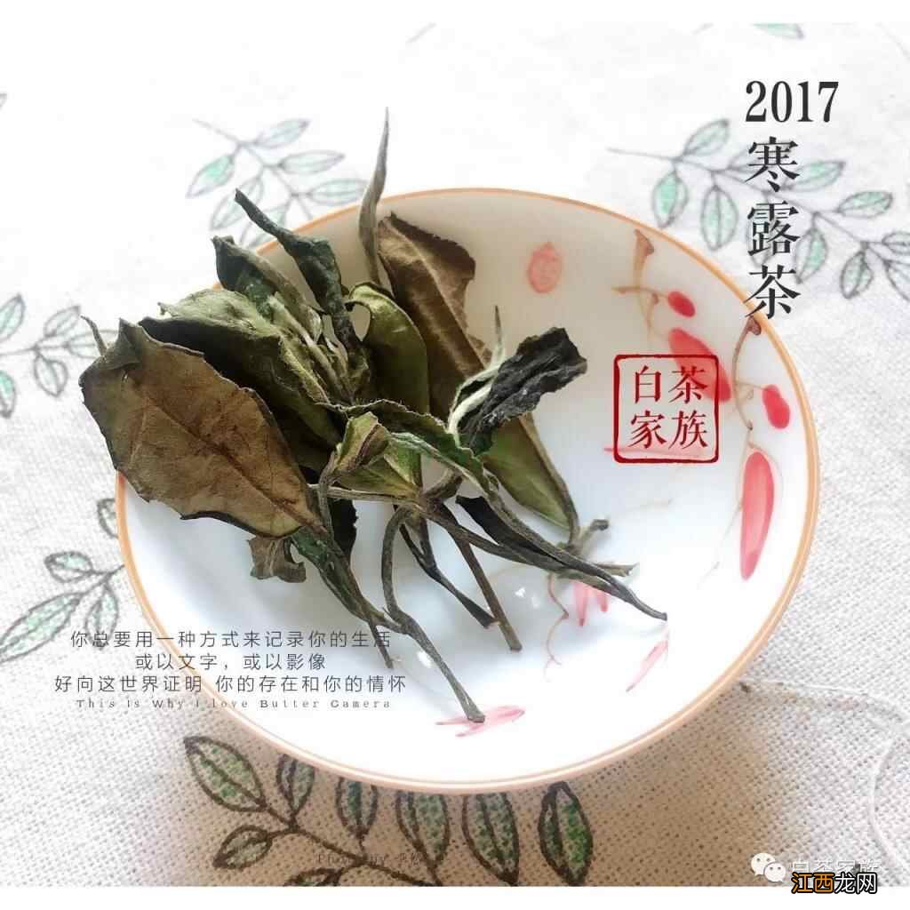 喝茶的养生大法，记住这3点就行！