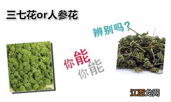 最好的三七花是什么颜色？什么颜色的三七最好，这文章都在谈些什么