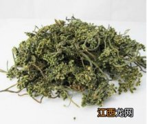 最好的三七花是什么颜色？什么颜色的三七最好，这文章都在谈些什么