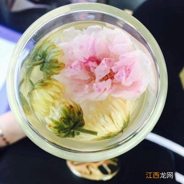 最好的菊花茶是啥？菊花茶产地排名，推荐大家收藏