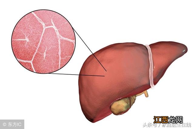 肝炎需要忌口什么？肝炎的禁忌食物，秘诀告诉你，在这里