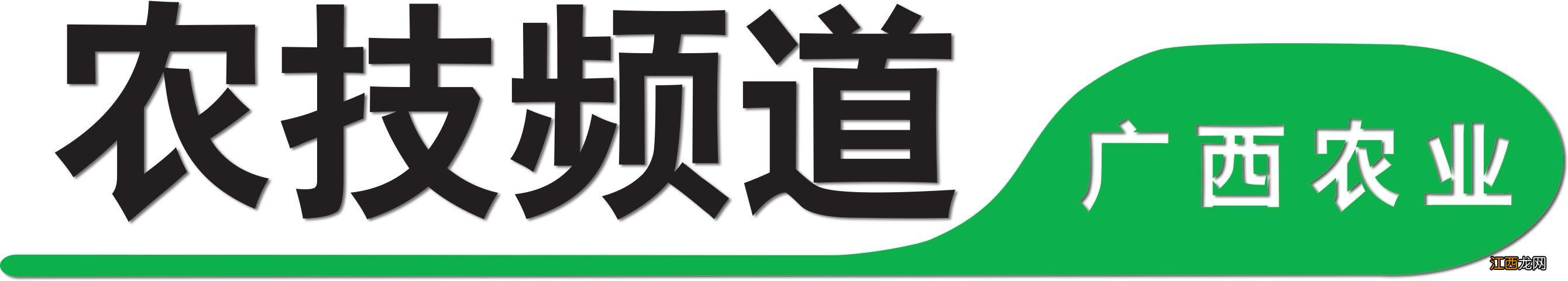 百香果什么时间种植？百香果盖浇冰米饭，文章引网友点赞