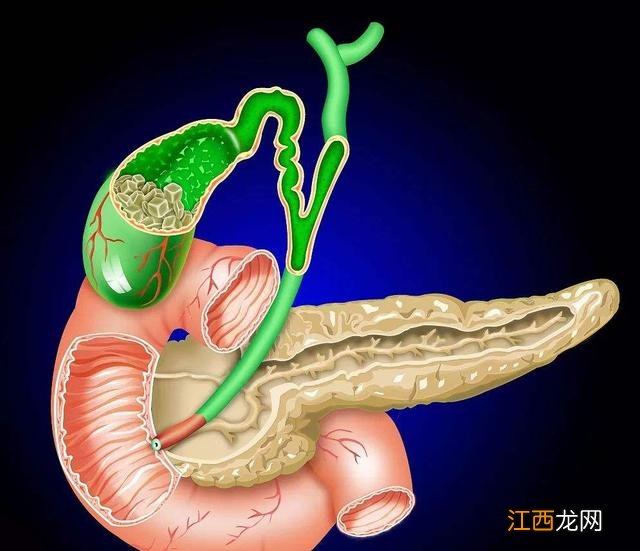 早起空腹喝热水有什么危害？早起空腹喝啥最好，注意，科普来了