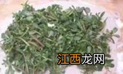 面包机学名？面包机的特点，这几点好记还有用