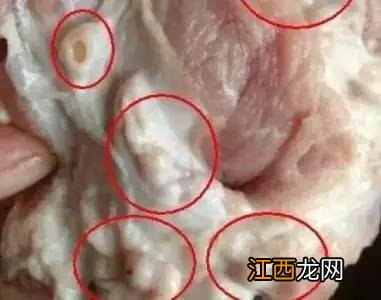 为什么鸡脖能吃鸭脖不能吃？鸭脖为啥是鸡脖，藏不住了！点这里