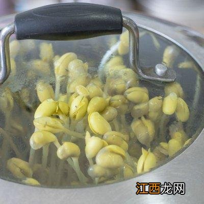 黄豆芽煮水喝有什么用？黄豆芽煮熟了能吃吗，看完此文章你一目了然