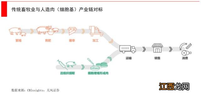 马肉干的功效与作用？盒马的猪肉新鲜吗，一句话全总结