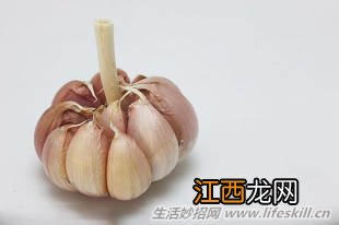 塑料袋15个储存保鲜的功能