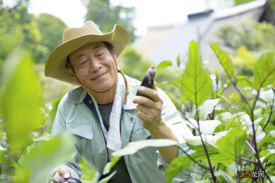 109岁“不老翁”养生秘诀：戒掉这8样，福寿自然长