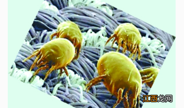 毛孔粗大的根本原因是什么,怎么办。