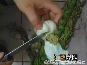 简单腌制糖醋蒜