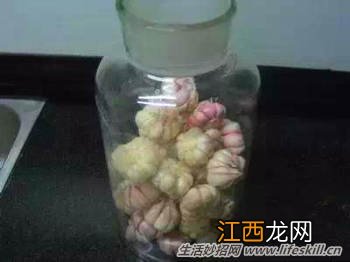 简单腌制糖醋蒜