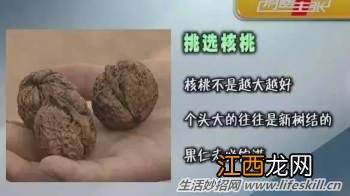 好看的核桃可能用药剂泡过,教你如何鉴定!
