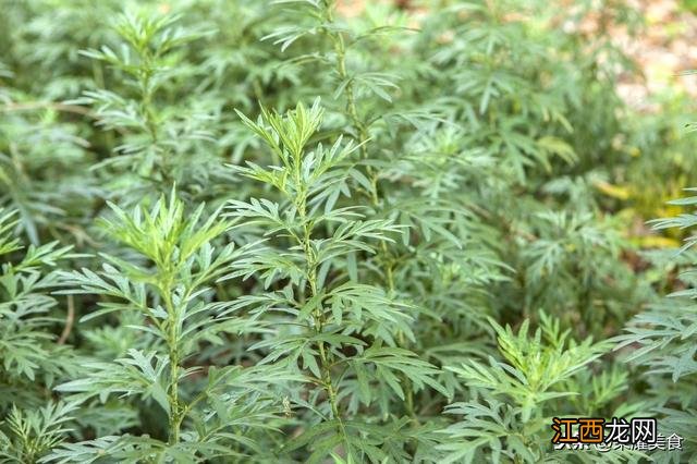 小苏打粉怎么做？洗野菜放点盐还要放点小苏打粉吗，让人一看就懂的文章