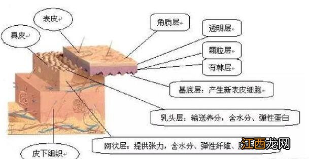 是不是越贵的护肤品效果越好？