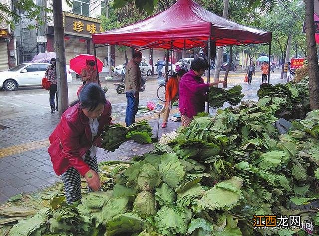 青团用什么叶子垫的？青团用什么草最好，点击 看全部内容