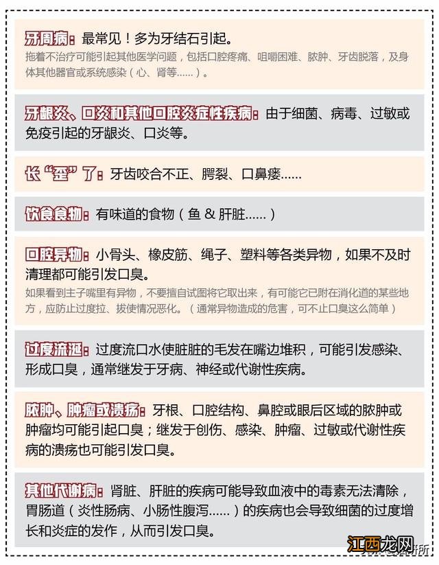 猫咪散发一种难闻气味是怎么回事？猫咪身上一股大蒜味，这篇文章太好了