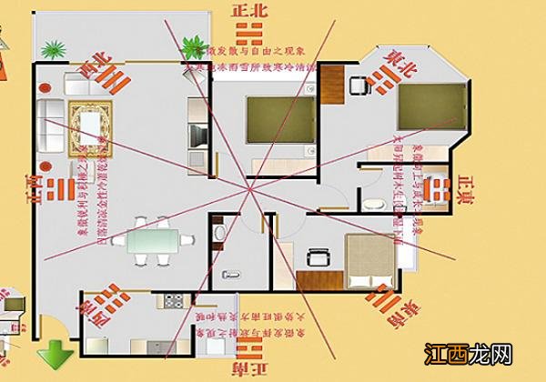 客厅东西的摆放位置怎样合理 客厅东西摆放风水知识，客厅摆放什么植物最好