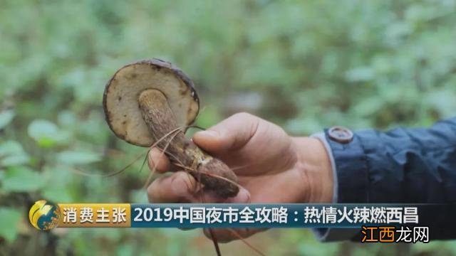 西昌怎样选圆根萝卜酸菜?酸菜的营养价值功效,点赞精彩文章