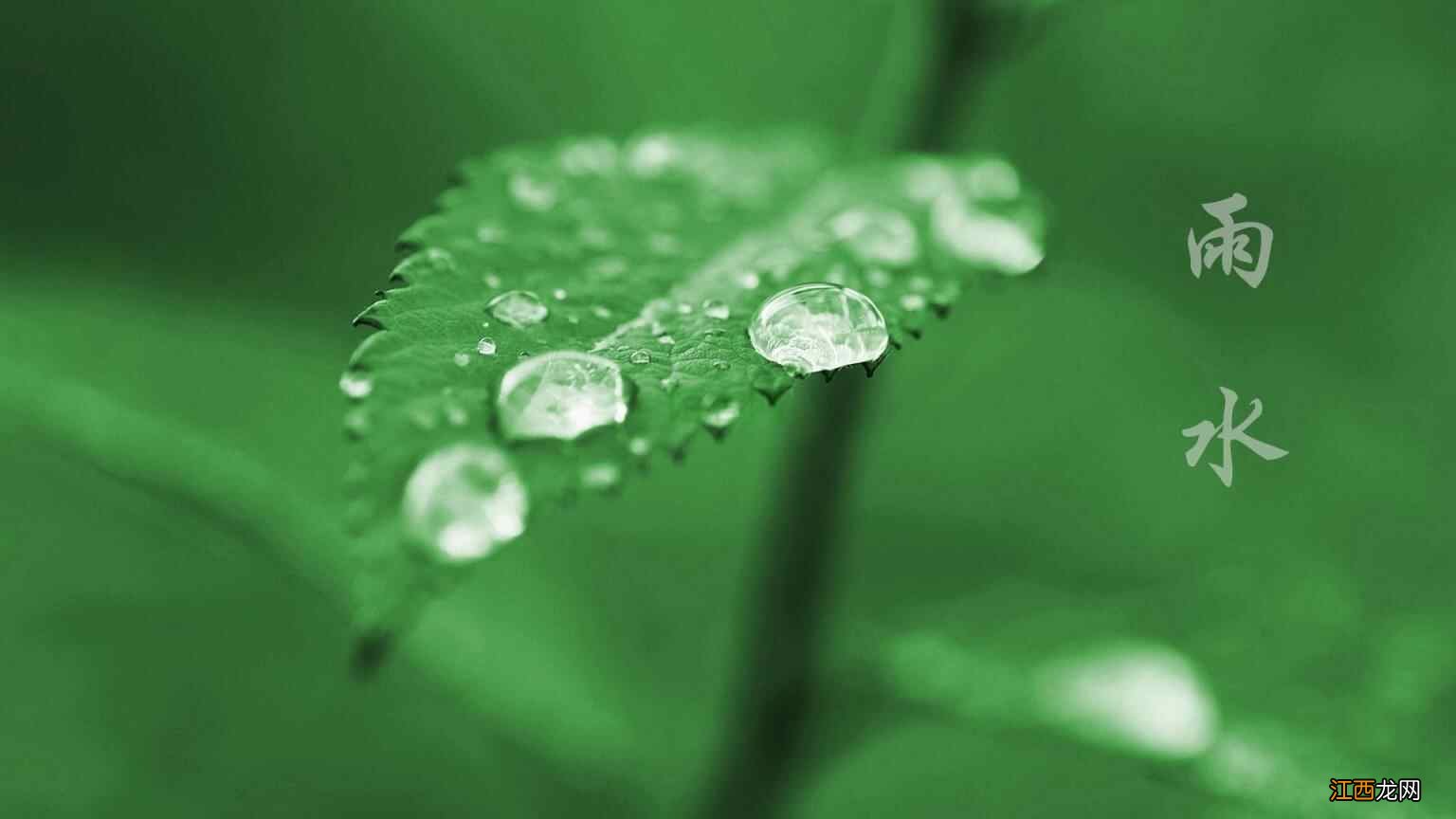 雨水节气将至，这几个养生常识快get起来