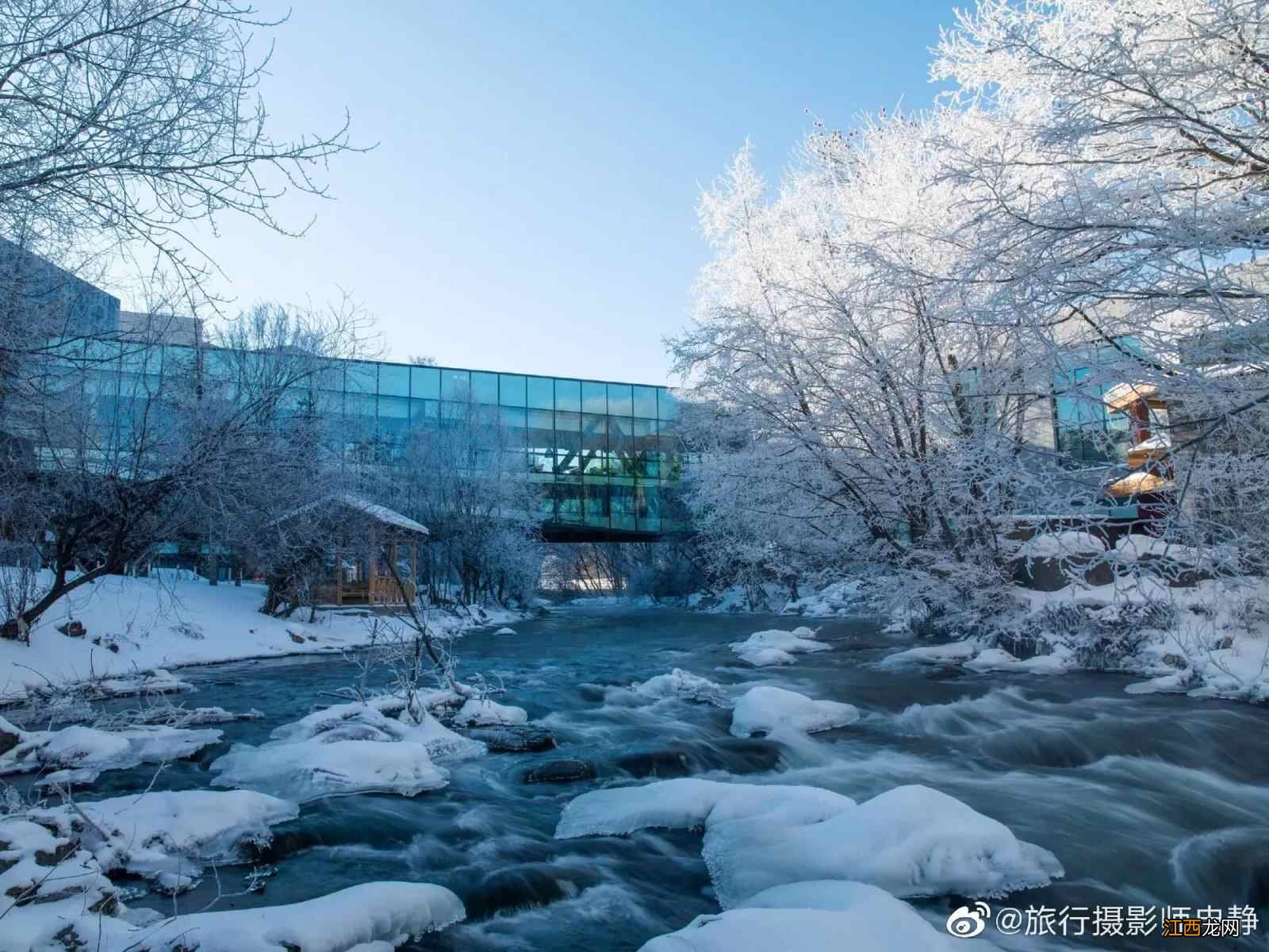 每到冬天，赏雪、滑雪、泡汤是我认为最享受的事情了，