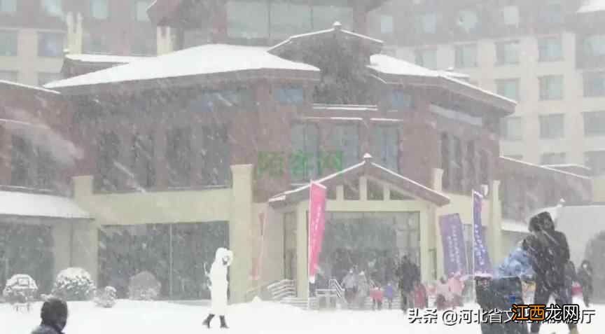 保定涞源七山滑雪场喜降瑞雪 雪友尽享冰雪乐趣