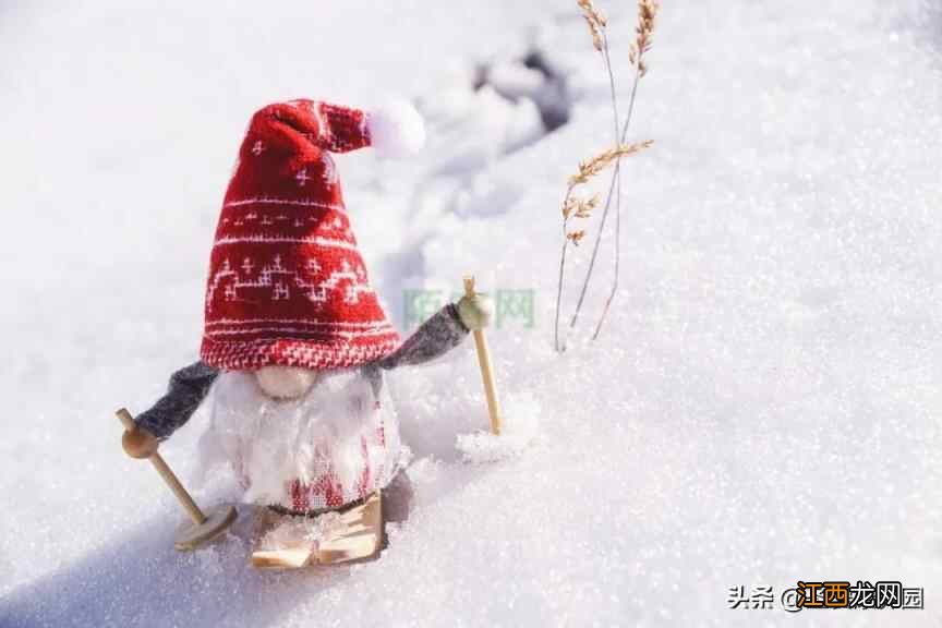 滑雪、溜冰成热门运动，奥运健儿的同款保障过来了解一下