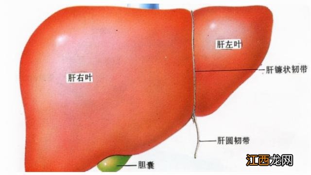 肝硬化病人用什么油做菜比较好？肝硬化能吃油吗，还不快学学