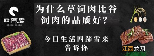 草猪肉和一般猪肉的区别？草饲猪肉与谷饲猪肉区别，看完终于恍然大悟