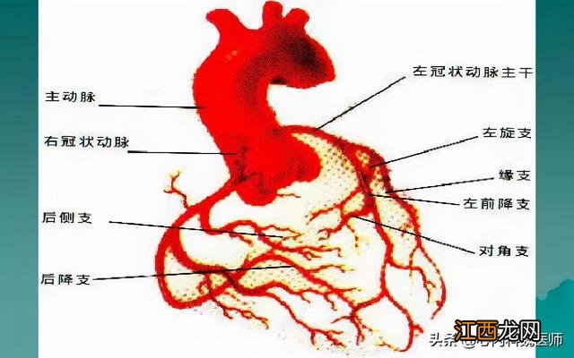 女心肌缺血吃什么药？心肌缺血食疗偏方，别问了，看这篇