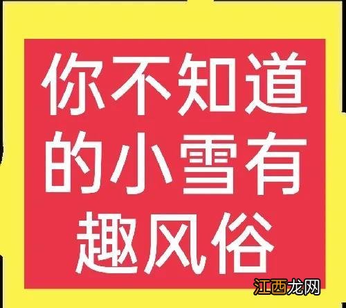 小雪这天吃什么？小雪当天吃什么食物，关键因素，看这篇文章