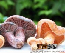 怎样去除蘑菇中的异味？