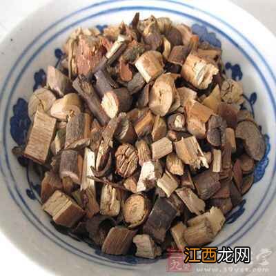 桂枝的功效与作用 桂枝怎么吃