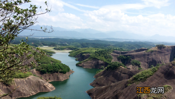 石斛几十种那种石斛最好 每斤价值上百和价值上万石斛的区别