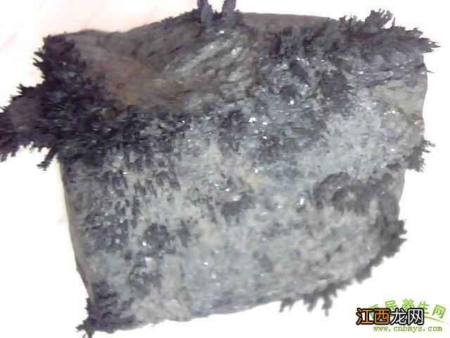 煅磁石怎么煎 煅磁石的功效与作用