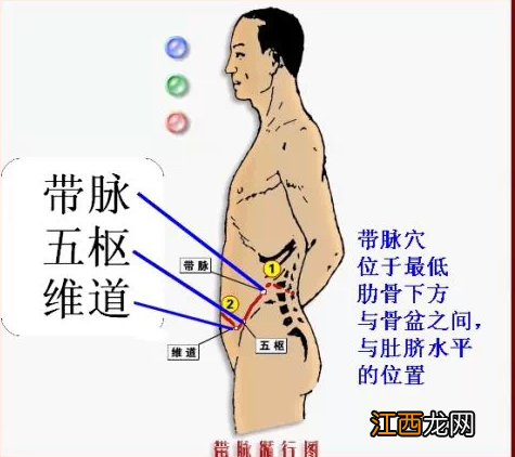 为什么敲了带脉拉肚子 敲打带脉拉肚子正常吗