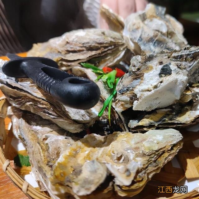 成都美食小吃视频？成都本地小吃一条街，快点快点快点快点打开