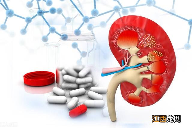 护肾用什么最好？护肾药排名前十名，早知道早受益