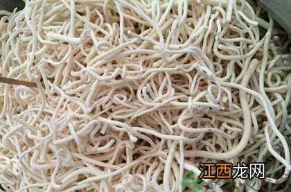 通草的药用价值有哪些 通草有什么好处