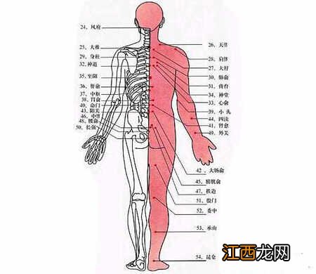 从人体经络图了解身体健康情况