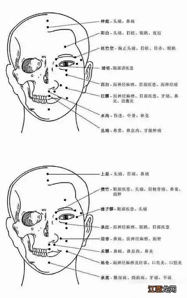 人体常用穴位全身准确位置图和作用 人体全身穴位名称和位置图