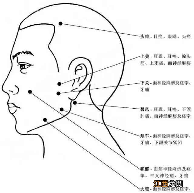 人体常用穴位全身准确位置图和作用 人体全身穴位名称和位置图