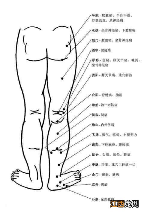 人体常用穴位全身准确位置图和作用 人体全身穴位名称和位置图