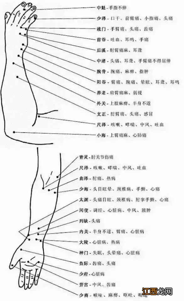 人体常用穴位全身准确位置图和作用 人体全身穴位名称和位置图