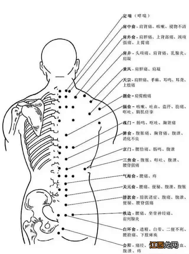 人体常用穴位全身准确位置图和作用 人体全身穴位名称和位置图