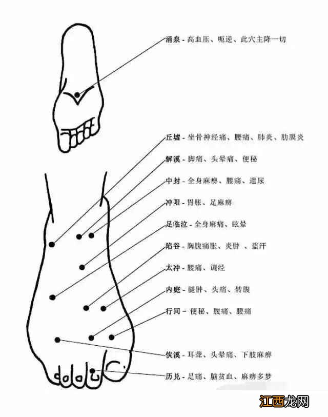 人体常用穴位全身准确位置图和作用 人体全身穴位名称和位置图